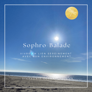 mer et soleil pour une sophro balade en bord de mer ou en foret sophro balade sophrologie nature stress sensibilité énergie angers